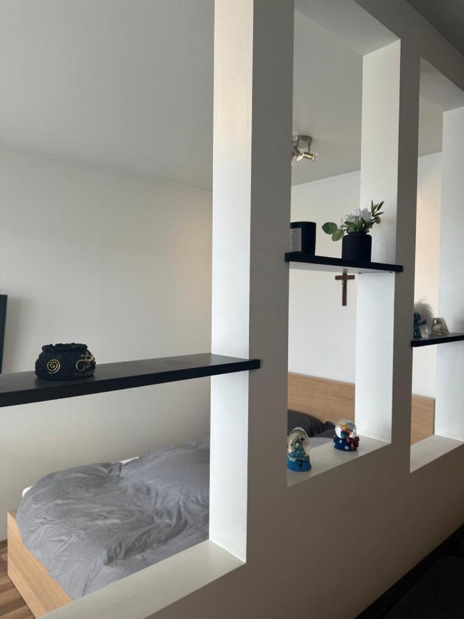 Entire Apartment Reykjavik Extérieur photo